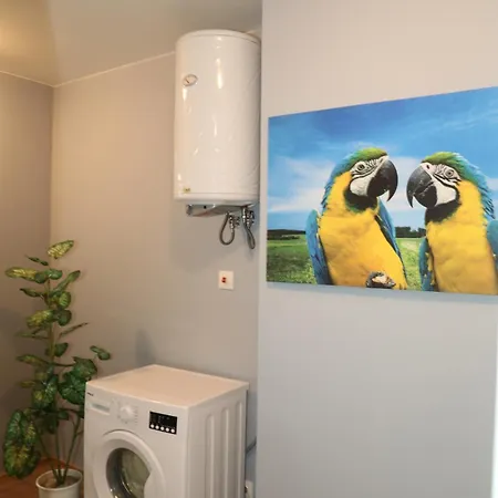 Apartment Luxury First Line With Pool And Sea View In Complex Oazis *