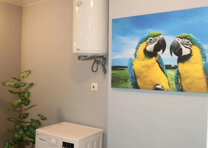 דירה Luxury First Line With Pool And Sea View In Complex Oazis *